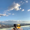 인피니플라워 | 남자친구 생일 기념 대구 여행 :: 호텔 수성 인피니티 풀 방문 후기