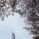고양누리길 11코스 송강누리길 네이버블로그