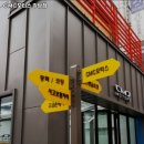 씨엠씨모터스(강남점) | 양재동 세차 CMC모터스 강남점 내용가격운영시간주차리뷰 알아보기