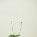 자월농장 이미지