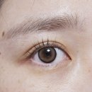 1001안경 위드렌즈(독산점) | 위드 렌즈 뉴트럴무드 원데이 브라운 일공공일 위드렌즈 서울독산점 방문기