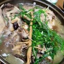 엄마손오리나라