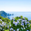 청라언덕역 5번출구 앞 이미지