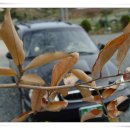 남해황토가 이미지