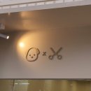 보듬 반려견미용실 이미지