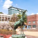 상명대학교 이미지