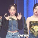 비비정지 이미지