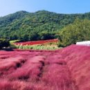 무장농협하나로마트 이미지