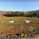 남해-242 이미지