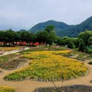 가평자라섬&amp;플라워 축제 이미지