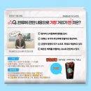 평화이벤트
