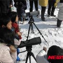 오색광고