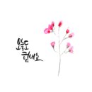 한양 행정사 사무소 이미지