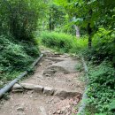 능인선원 | 강남에서 등산을? 초보자 추천 코스, 구룡산 국수봉 - 대모산 정상 연속 등반! (능인선원 길 없음 주의)