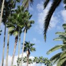 한림어린이공원 | 제주 한림공원 입장료 제주 산책 데이트