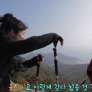 금광수산 이미지