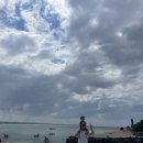 머무른채 | 아이둘과 제주도 열흘살기 Day 5 | 한담해변 애월카약올레, 랜디스도넛애월, 금능해수욕장, 고내횟집
