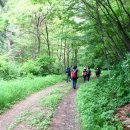 우면산6-13 이미지