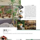 더멍컴퍼니