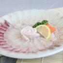 독도참가자미회 이미지