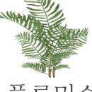미스집 이미지