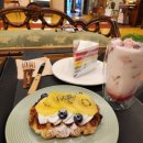 레인보우스칼라 이미지