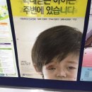파이널기획