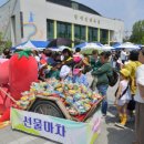 마을회관 앞, 놀이터 앞 아시아경제