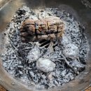 닭돌이와닭순이 이미지