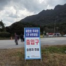 멍구네 - 양주시 | 2025 내장산 단풍 11월 1일 현황_절정시기, 주차안내, 케이블카, 택시가격