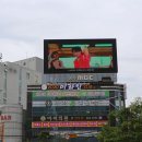 죽봉대로 이미지