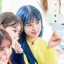 라이브스타 Daum카페