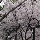 호수언저리 이미지