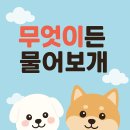 우면종합사회복지관 | 무엇이든 물어보개, 반려견 행동교정 무료 교육! 서초구 우면복지관 신청 안내