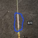 장호원낚시터 네이버블로그
