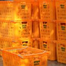 은찬4호 이미지