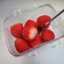 교동곰장어 | [새랑일상] 소소한 행복에 감사하면서 사는 헬린이&amp;직장인 일상 - 생각지도 못 하게 함께 맞은 첫 눈...