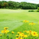 한탄강 컨트리클럽 이미지