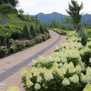 (주)화사한