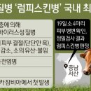 소격리농장 티스토리