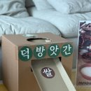 달콤방문미술 | 10개월 아기 방문 미술 ‘ 파파덕 ’ 1월 수업 후기