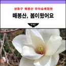 매봉산유아숲체험원 3월 25일 봄이왔어요.
