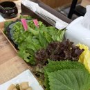 연수동 쌈밥맛집 자연채우렁쌈밥 추천 후기