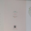 동신파이디온 이미지