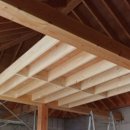 삼박한집 이미지