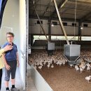 경보축산 이미지