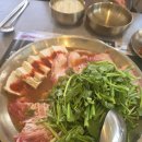 팔옥횟집 | 하루 한줄 276.