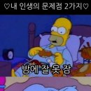 하노이안