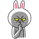 비비캣 이미지