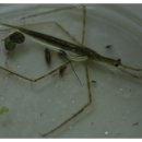 지렁이마을 이미지